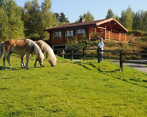 Verblijf 02624301 • Vakantiewoning Noordrijn-Westfalen • Vakantiehuisje in Arnsberg 