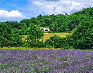 Unterkunft 0492123 • Ferienhaus Midi-Pyrenees • Huisje in Lauzerte 