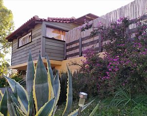 Guest house 0637803 • Holiday property Peloponnesia • Vakantiehuis in Mesochori 