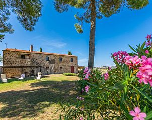 Guest house 095134602 • Holiday property Tuscany / Elba • Vakantiehuis Il Casale 