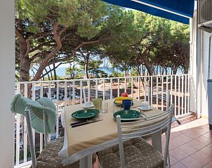 Guest house 09553210 • Apartment Tuscany / Elba • Appartement La Pineta 