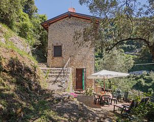 Guest house 09575126 • Holiday property Tuscany / Elba • Vakantiehuis L'Oliveto 