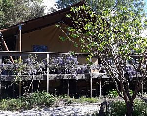 Verblijf 13117702 • Vakantiewoning Vale do Tejo • Vakantiehuisje in Cabeca Alta 