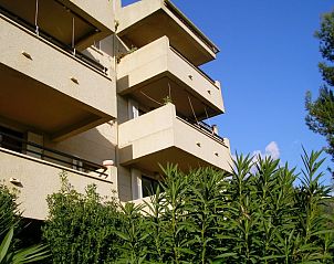 Guest house 1609306 • Apartment Mallorca • appartement  