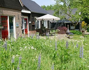 Guest house 174104 • Holiday property Midden Drenthe • Vakantiehuisje in Elp 