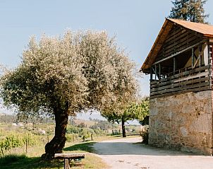 Unterkunft 18517812 • Ferienhaus Nordportugal • Vakantiehuisje in Cabeceiras de Basto 