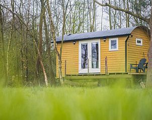 Unterkunft 268502 • Ferienhaus Het Friese platteland • Vakantiehuisje in Waskemeer 