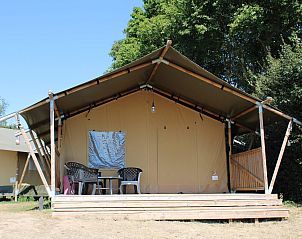 Guest house 280119 • Tent house Rivierengebied • Safaritent met badkamer 2 tot 6 persoons 