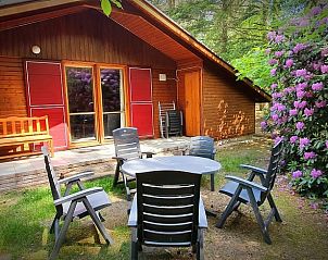 Guest house 294823 • Holiday property Achterhoek • Vakantiehuisje in Neede 