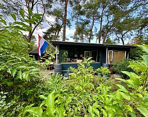 Unterkunft 324323 • Chalet Veluwe • Tingeling 