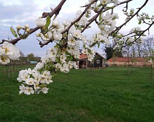 Verblijf 386201 • Vakantiewoning Noord Limburg • Vakantiehuisje in Grashoek 