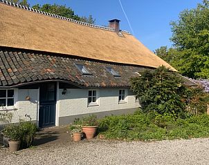 Unterkunft 421406 • Ferienhaus Hart van Brabant • Huisje in Den Dungen 