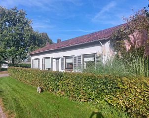 Guest house 443025 • Holiday property West Brabant • Een sfeervol 7-persoons vakantiehuis in Hoeven, 