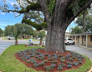 Guest house 6025439 • Apartment Florida • Scottish Inn - Saint Augustine 